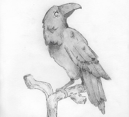 corbeau 1.jpg