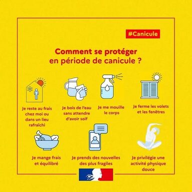 CANICULE.jpg
