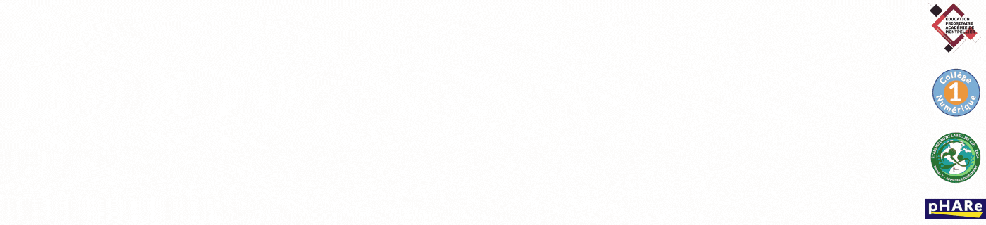 COLLEGE GEORGES BRASSENS1.gif